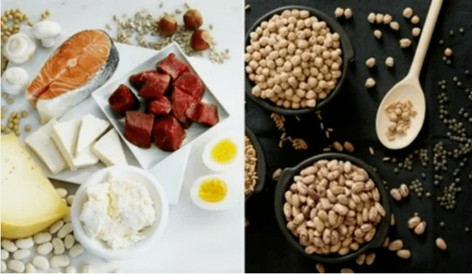 Esempi di prodotti dietetici proteici