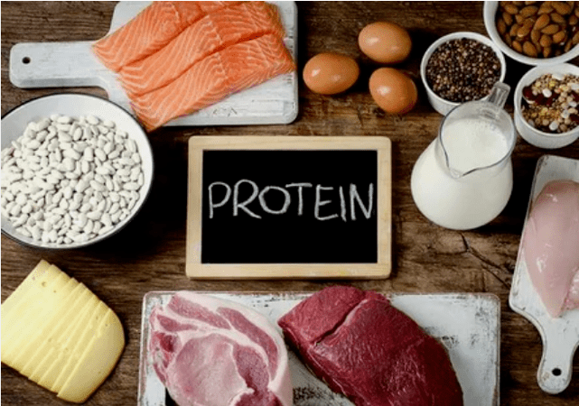 Prodotti dietetici proteici